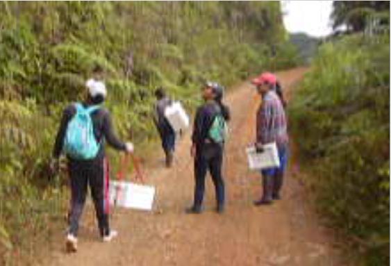 Ilustración 5. Un grupo de mujeres se desplaza al bosque para recolectar plántulas.