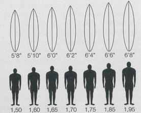 A continuación se comentaran diferentes dimensiones, partes y formas de la tabla las cuales son necesarias conocer para entender el diseño completo de una tabla de surf.