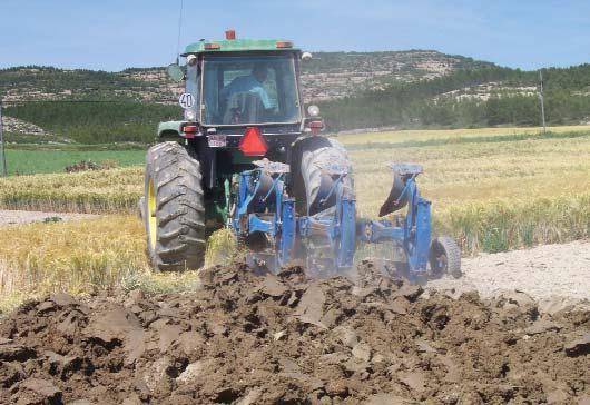 Incidencia del No laboreo en problemas de plagas y enfermedades del cereal La siembra directa lleva ventajas consigo, pero también determinados problemas, por no mover los suelos.