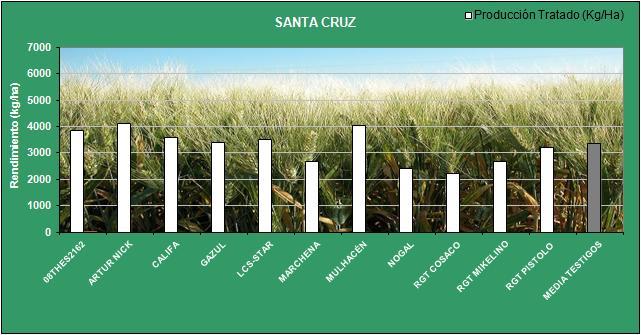 Gráfico 21: Resultados del ensayo de nuevas variedades en Santa Cruz (Córdoba).