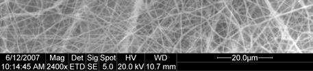 En la figura 1 se puede apreciar una imagen por microscopía electrónica de la deposición de los velos de nanofibras sobre el sustrato AN01. Figura 1.