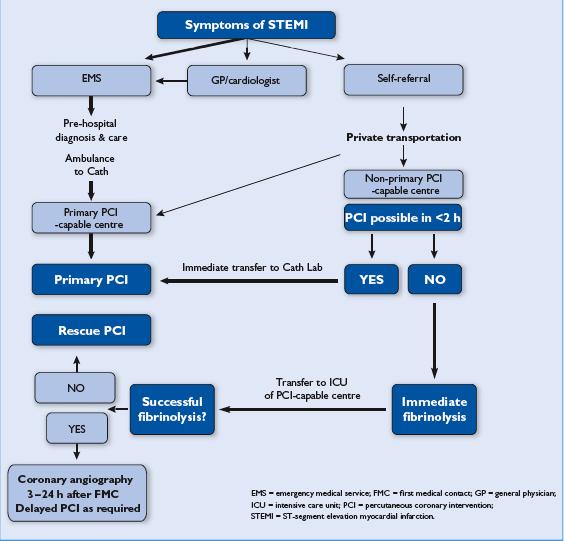 Organization of ST-segment elevation myocardial infarction patient pathway describing pre-