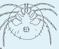 13 GRUPOS TAXONOMICOS CARACTERISTICAS VALOR DE TOLERANCIA IMAGEN Son ácaros de ocho patas, tienen parecido a las arañas Su cuerpo es