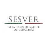 SERVICIOS DE SALUD DE VERACRUZ MANUAL ESPECÍFICO DE ORGANIZACIÓN