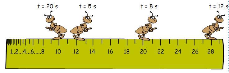 Ejemplo 1. Una hormiga camina sobre la orilla de una regla, partiendo desde la orilla, como se ve en la figura.