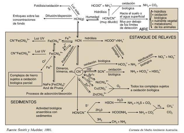 Figura Nº 2.3. El ciclo del cianuro Este método utiliza la destrucción natural de cianuro por exposición de las colas a los elementos climáticos (Longe y DeVrides, 1988).