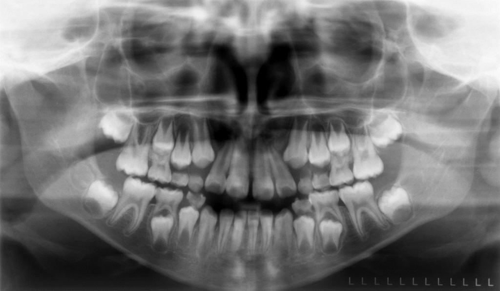 Estomatológica Dental 