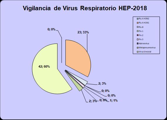 Gráfico 13. Vigilancia de influenza y otros virus respiratorios. Durante las 39 primeras S.