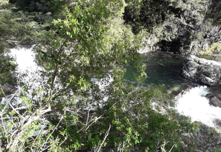 G.3. Áreas de Alto Valor de Conservación (AAVC) Medidas de manejo Captación de agua y Bosque protector Molulco Medidas de Manejo Tomar precauciones en faenas cercanas a cursos de agua, captaciones y