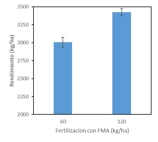 Fertilización fosfatada América (suelo franco profundo con capa freática) America 2.