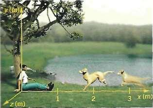 Por ejemplo, un estudiante puede estar ubicado en el origen del sistema de referencia. Figura 3: Animal en reposo con respecto al observador.
