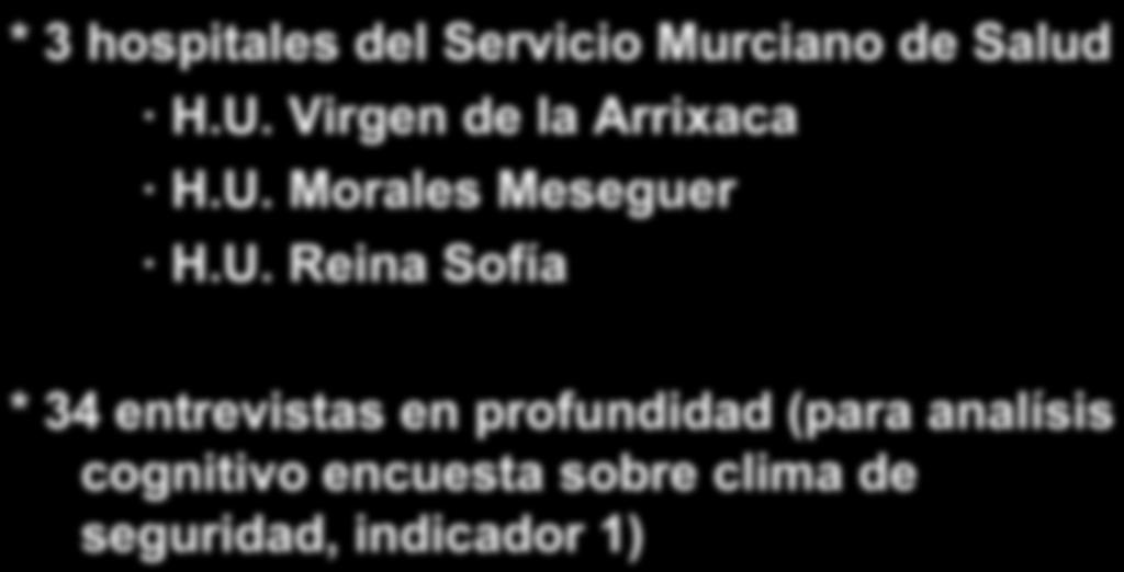 PILOTAJE INDICADORES BUENAS PRÁCTICAS * 3 hospitales del Servicio Murciano de Salud H.U.. Virgen de la Arrixaca H.U.. Morales Meseguer H.