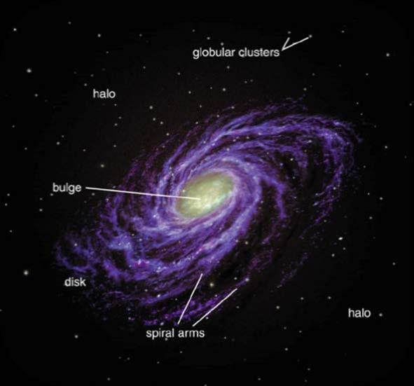 Partes de una galaxia A diferencia de las galaxias irregulares, que no tienen una forma definida, en las galaxias espirales y elípticas se pueden distinguir tres partes principalmente: La parte