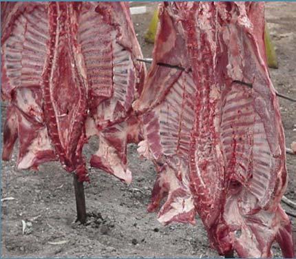 Factores que influyen en la calidad de la canal y la carne de ovinos para abasto Canal Carne Rend. Peso Conf. Engra. ph CRA Color Suav. Sabor C.
