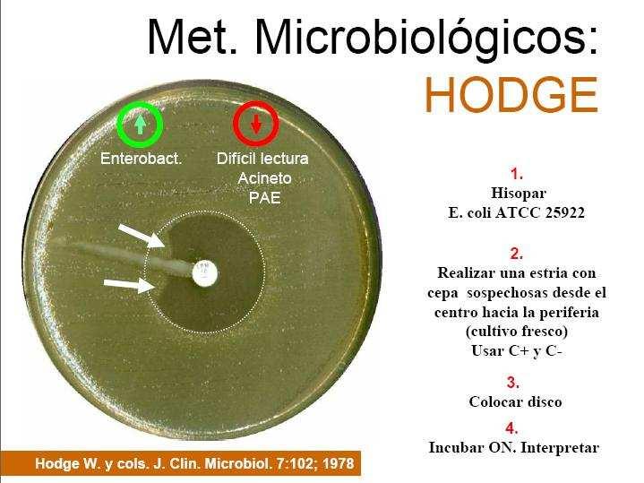 Método microbiológico Hodge Confirma carbapenemasas.