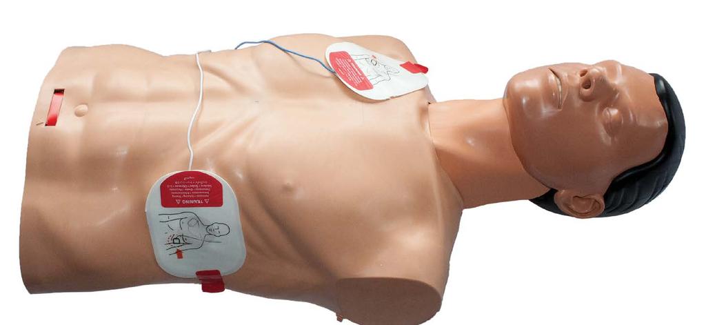 Su torso con forma cerrada y sus puntos de referencia anatómicos permiten el aprendizaje del uso de Desfribiladores Externos Automáticos (DEA) y la correcta colocación de los electrodos.