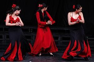 Baile Flamenco Siempre enfocados en entregar y apoyar la cultura de la región es que realizamos nuevamente una alianza con el Centro Español de Concepción, para presentar una selección de baile y