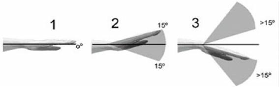 Marco teórico 0 CUADRO N 6 PUNTUACIÓN DE LA MUÑECA Puntuación de la muñeca Puntos Posición Si está en posición neutra respecto a flexión Si está flexionada o extendida entre 0 y 5 Para flexión o