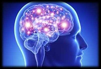 Qué está pasando en el cerebro adolescente? PODA SINAPTICA La poda sináptica es un proceso que tiene lugar en el cerebro y que consiste en la eliminación de conexiones sinápticas entre neuronas.