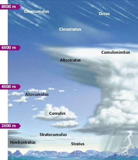 Nubes cumulunimbus Para la formación de una tormenta severa es necesario que se desarrollen las nubes conocidas como cumulunimbus.