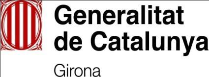 un grup de treball: Gerència de serveis comuns, Junta de personal, i l ATM de Girona Pla de desplaçaments: