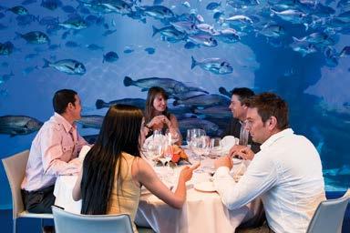 Palma Aquarium ofrece un espacio único para la celebración de una cena que debe
