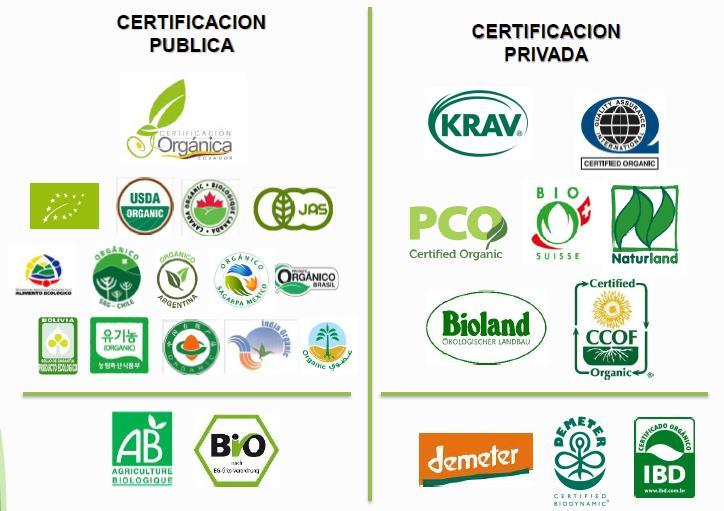 FUENTE: Cortesía de qcs quality certification