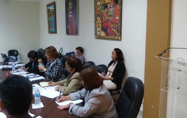 Vielka Tejada, Secretaria Técnica del Gabinete Social, participó de una reunión para la Presentación de la Proyección Presupuestaria.