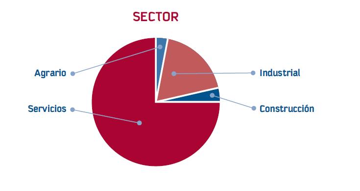 Agrupadas las actividades económicas en Sectores, se constata que el Sector Servicios