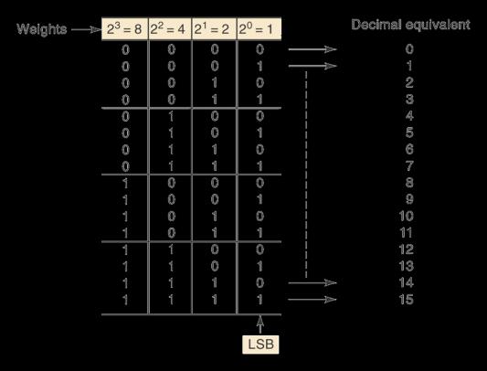 El conteo binario es secuencial, partiendo desde el menos significativo hasta el más significativo El equivalente decimal es el resultado de sumar los pesos aportados por