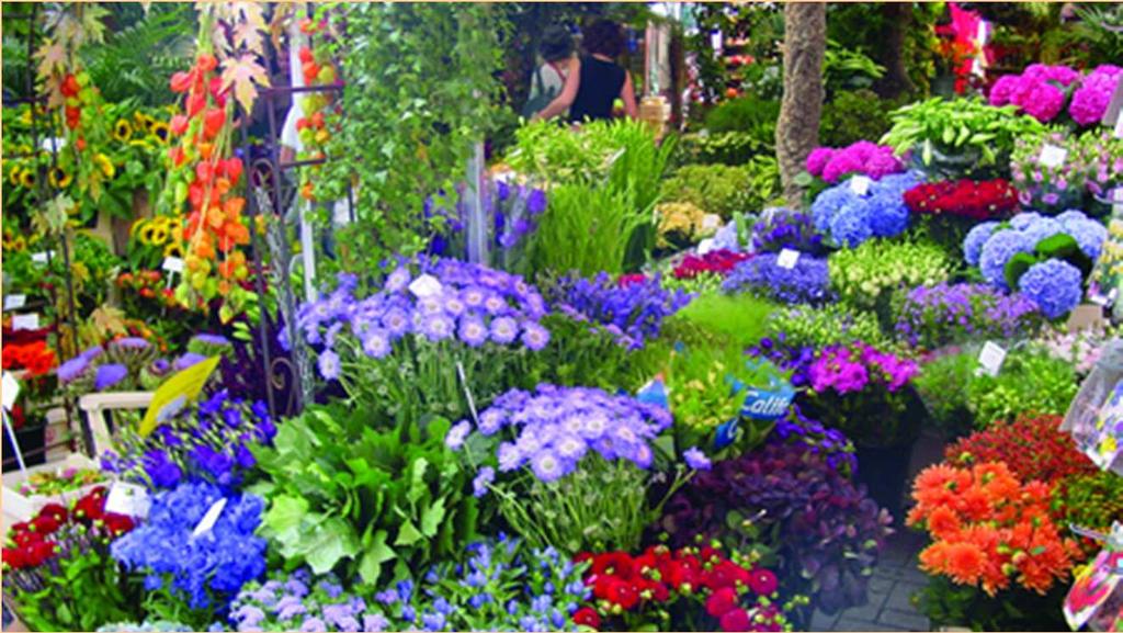 Mercado de flores Noviembre