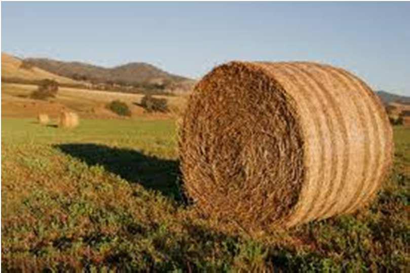 Potencial de la paja de trigo en el concepto de la biorefinería Material de refuerzo Biomasa lignocelulósica Lignina Celulosa