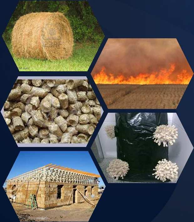 Utilización de la paja de trigo
