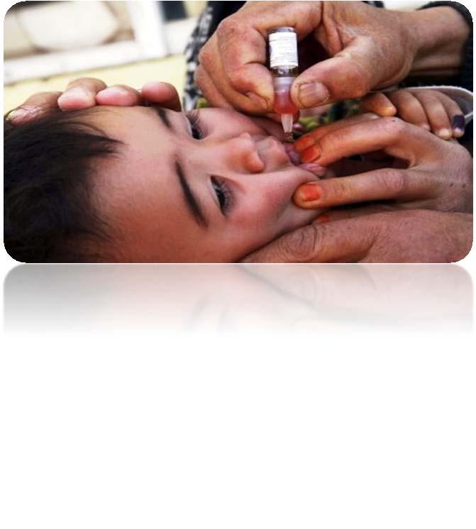 Vigilancia Epidemiológica Semana 41, 7 Cápsula Informativa: 24 de Octubre - Día Mundial de la Lucha contra la poliomielitis DÍA MUNDIAL DE LA POLIOMIELITIS 24 DE OCTUBRE. Fuente: http://www. paho.