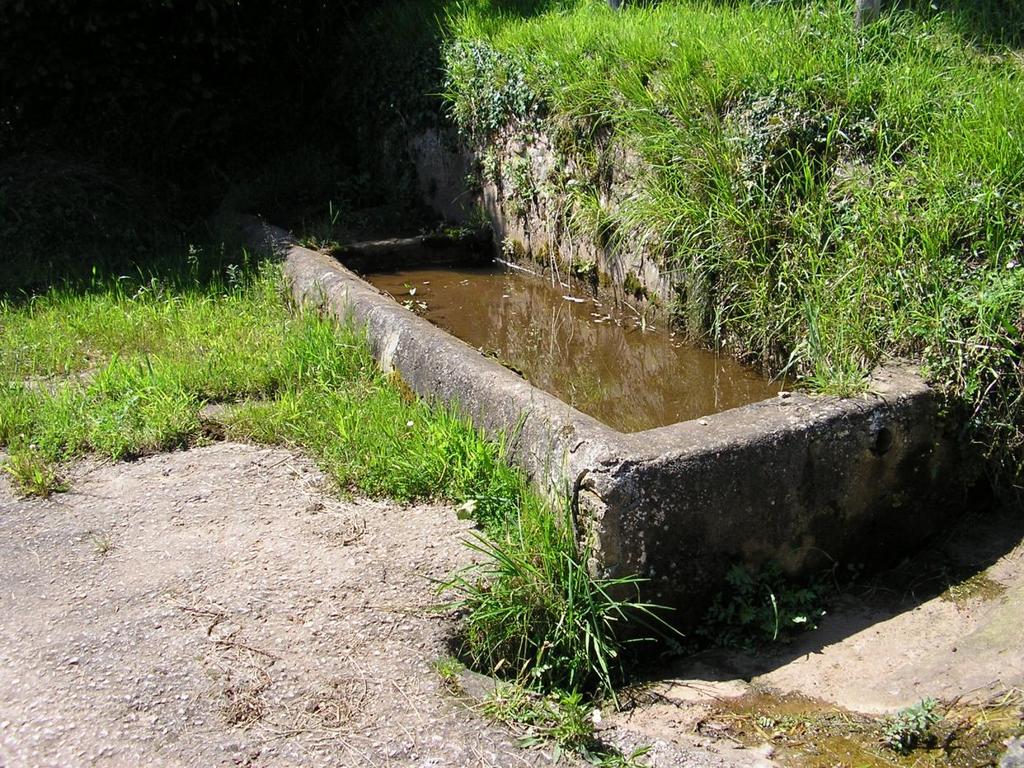 Llavaderu de La Fonte l Robedal (El Robedal) Desacertaes