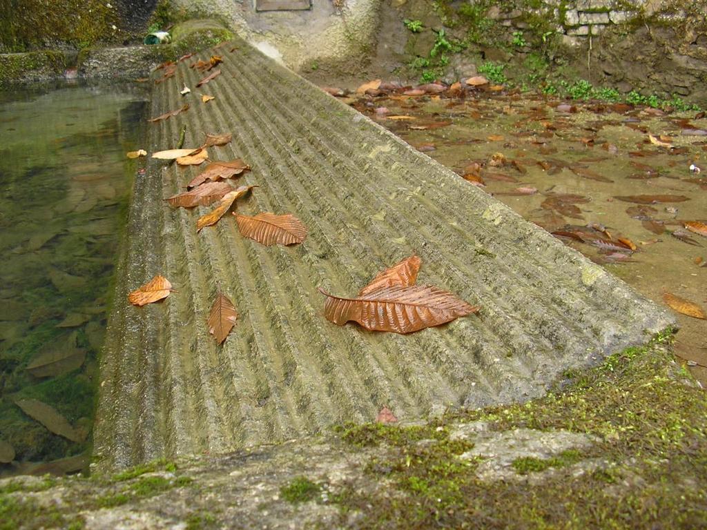 Llavaderu de La Fonte Riba (Tabayes) Exemplu de llavadera formada
