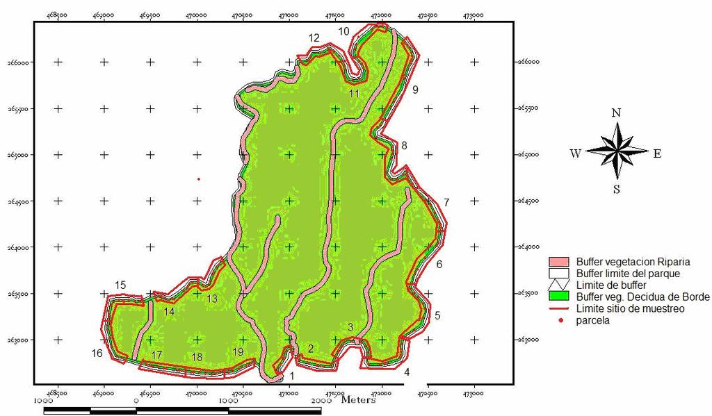 23 Fig. 7: Ubicación de parcelas dentro de los sitios de muestreo en vegetación Decidua del Área Natural Protegida Parque Walter Thilo Deininger.