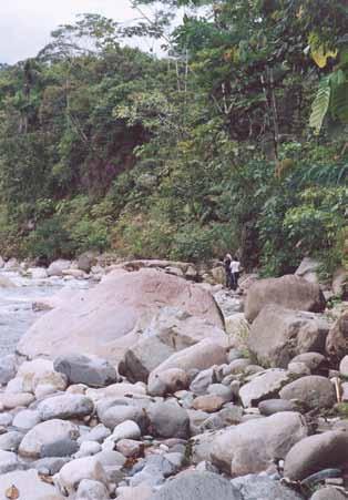 154 Salazar, Vargas, Mora y Benavides al Bosque bajo a medio denso, desarrollado en áreas de asociación de depósitos aluviales con superficies disectadas.