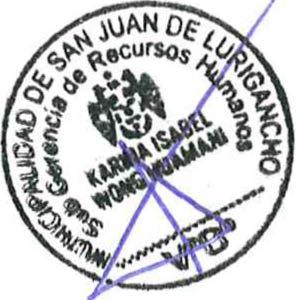 MUNiCIPALIOAD DE SAN JUAN DE LUR!GANCHO PROCESO CAS N º 142-2016-MDSJL PUESTO: JEFE DE COMISIÓN l. GENERALIDADES 1.