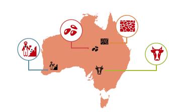 Posición de Australia en el mundo Producto Interno Bruto (PIB) de 1,225 miles de millones de dólares (mmdd): 1 economía en Oceanía, 4 en TPP, y 13 del mundo (1.7% del PIB mundial). Población de 23.