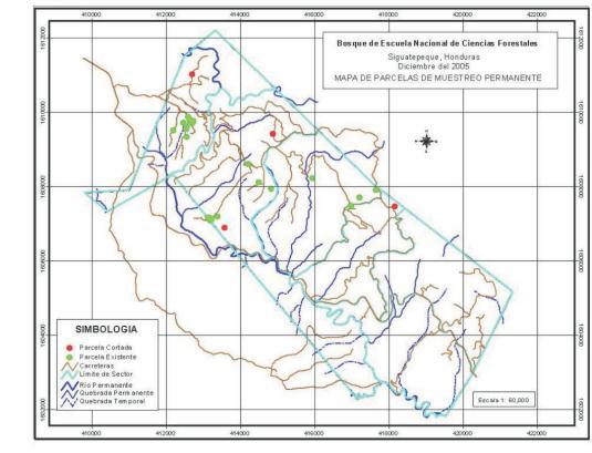 MATERIALES Y MÉTODOS Descripción general del área Ubicación geográfica El bosque de la ESNACIFOR está situado en los municipios de El Rosario y Siguatepeque, Departamento de Comayagua, en donde se