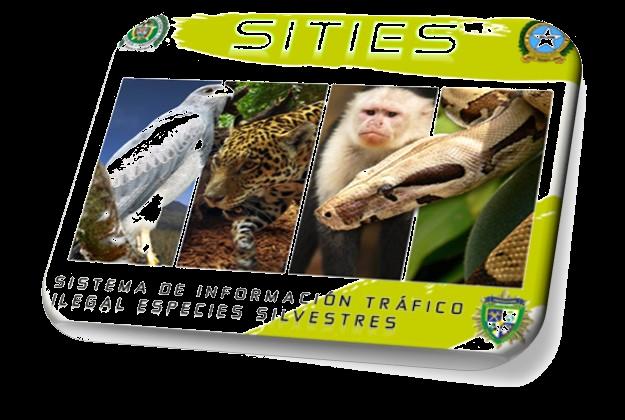 Sistema de Información contra el tráfico ilegal de especies El Ministerio de Ambiente, en convenio con la Policía Nacional y acuerdos de