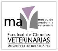 mavirtual Conocelo El Museo de Anatomía Veterinaria Prof. Dr.