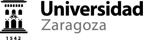 Resolución de 23 de febrero de 2016, de la Universidad de Zaragoza, por la que se convoca por procedimiento de urgencia concurso público para la contratación de un Investigador Novel (categoría N4)