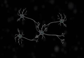 Aprender Establecer redes de neuronas que