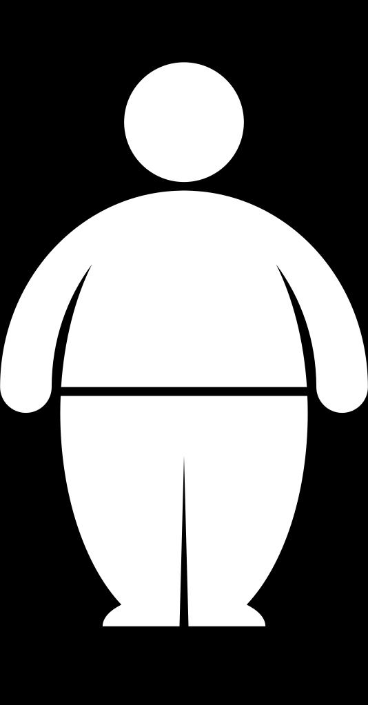 Problemática nacional de enfermedades no transmisibles. En 2016: El 39% de las personas adultas de 18 o más años tenían sobrepeso, y el 13% eran obesas.