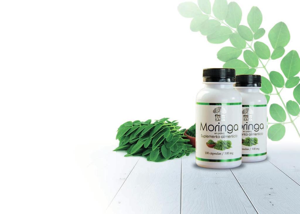 Moringa Las hojas de moringa son ricas en proteínas, antioxidantes como vitaminas A, B, C y E, y minerales.