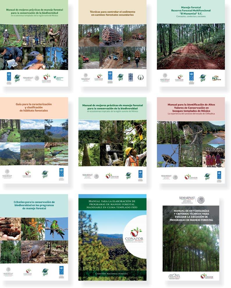 16 Se ha incrementado en más de 100% la superficie forestal certificada, ya que en el año 2012 se contaba con 826 mil hectáreas certificadas y al mes de febrero de 2018,