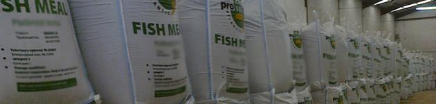 Introducción Además, hay una presión actual por reducir el contenido de harina de pescado en los alimentos acuícolas especialmente teniendo en cuenta la