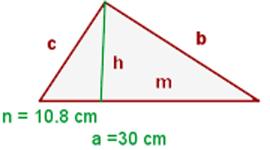 5. TEOREMA DEL CATETO En todo triángulo rectángulo un cateto es media proporcional entre la hipotenusa y su proyección sobre ella.